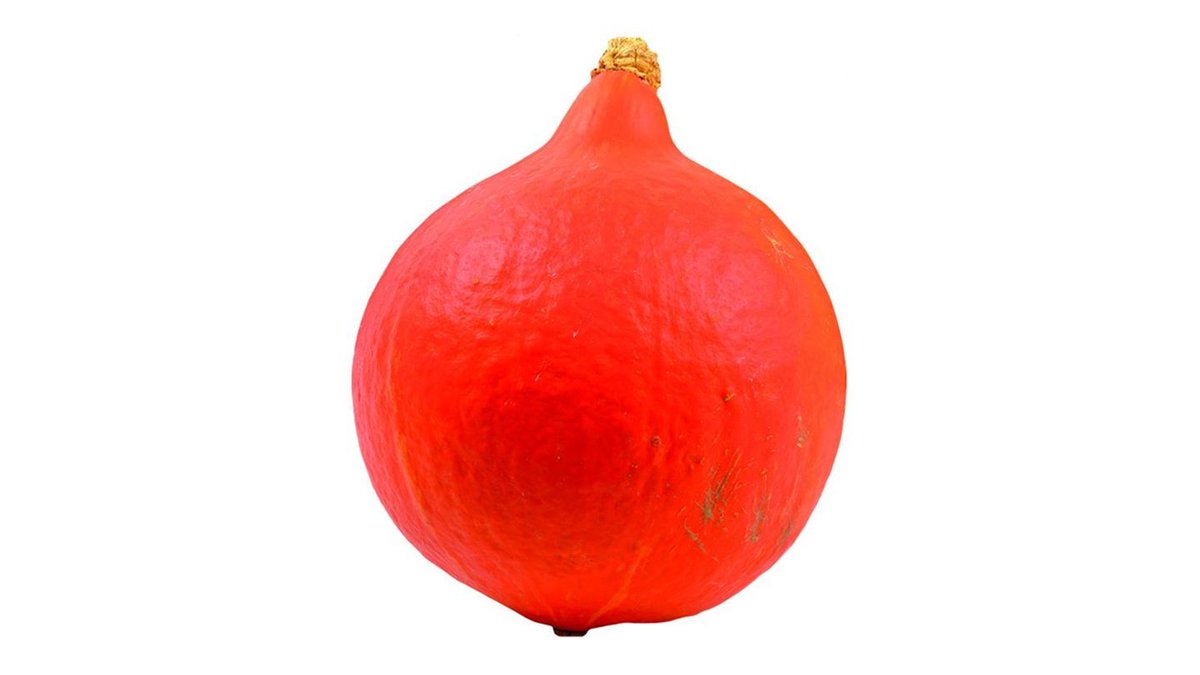 Dýně Hokaido cena za 1kg