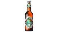 Objednať Radegast Rázná 10 pivo výčapné svetlé 0,5 l