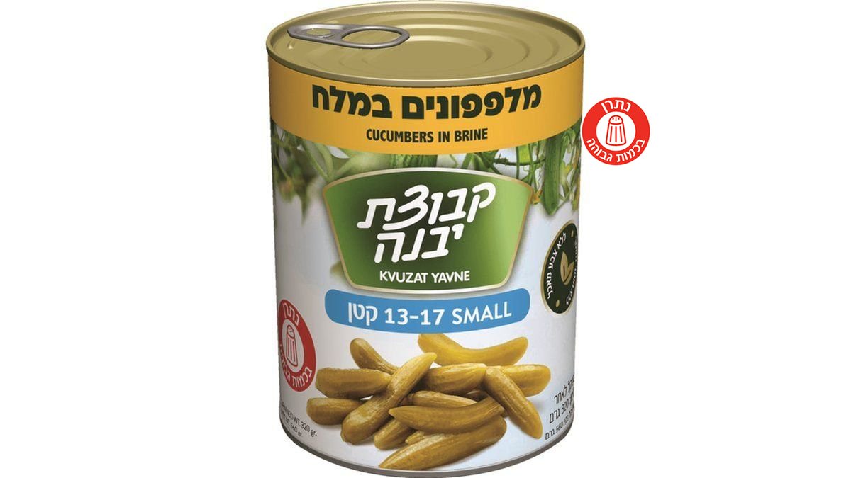 תמונת המוצר 1