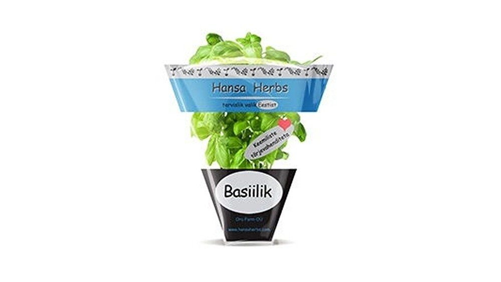 Hansa Herbs Basiilik potis
