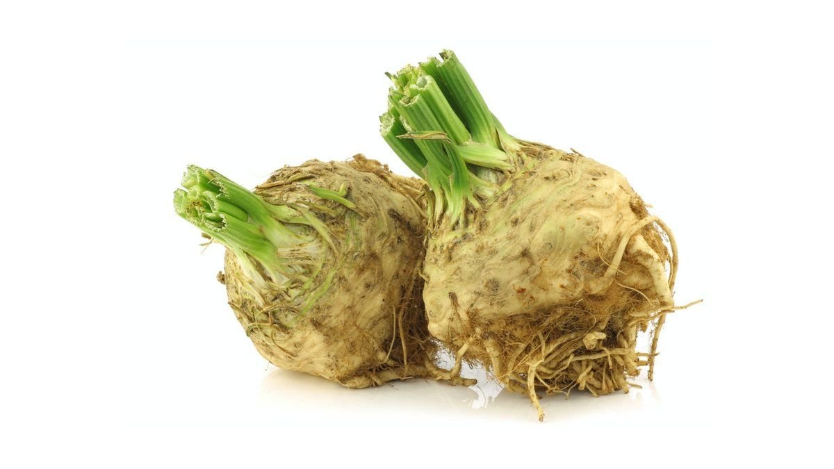 תמונת המוצר 1