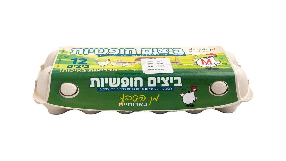 תמונת המוצר 2