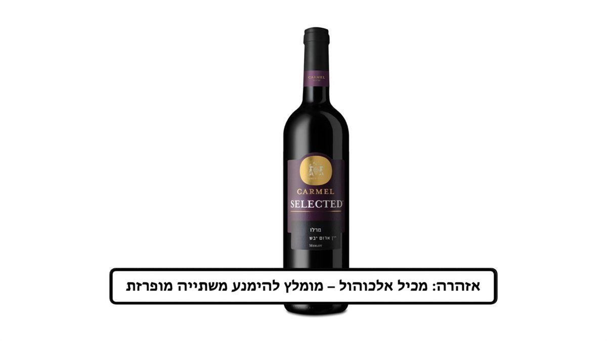 תמונת המוצר 1