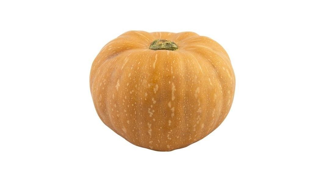 Dýně máslová cena za 1kg