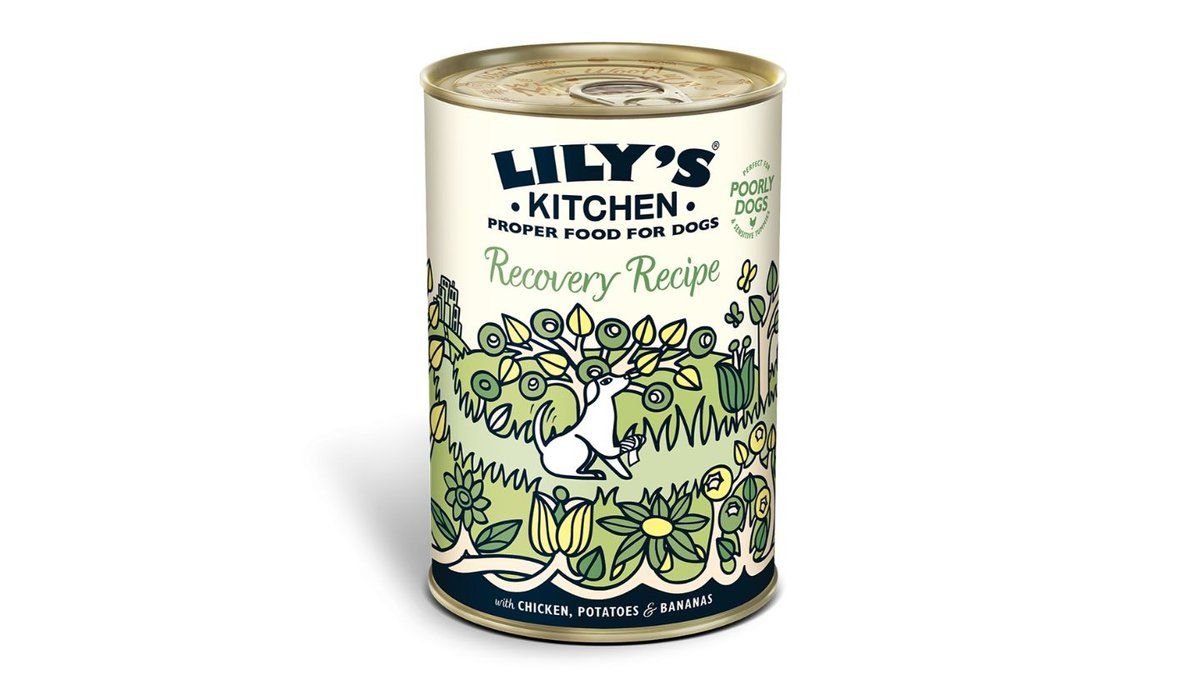 Lily's Kitchen Recovery Recipe 400g