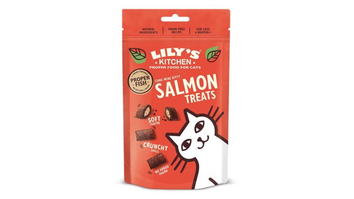 Lily's Kitchen Salmon Treats 60g