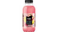 Objednať Cappy Lemonade 0,4 l