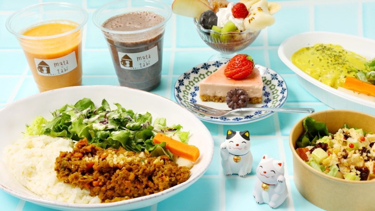 Image of 保護猫カフェ mata×tabi