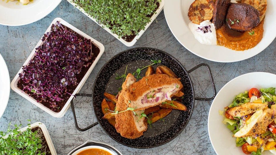 Image of Palotagyöngye Kertvendéglő és Pizzéria