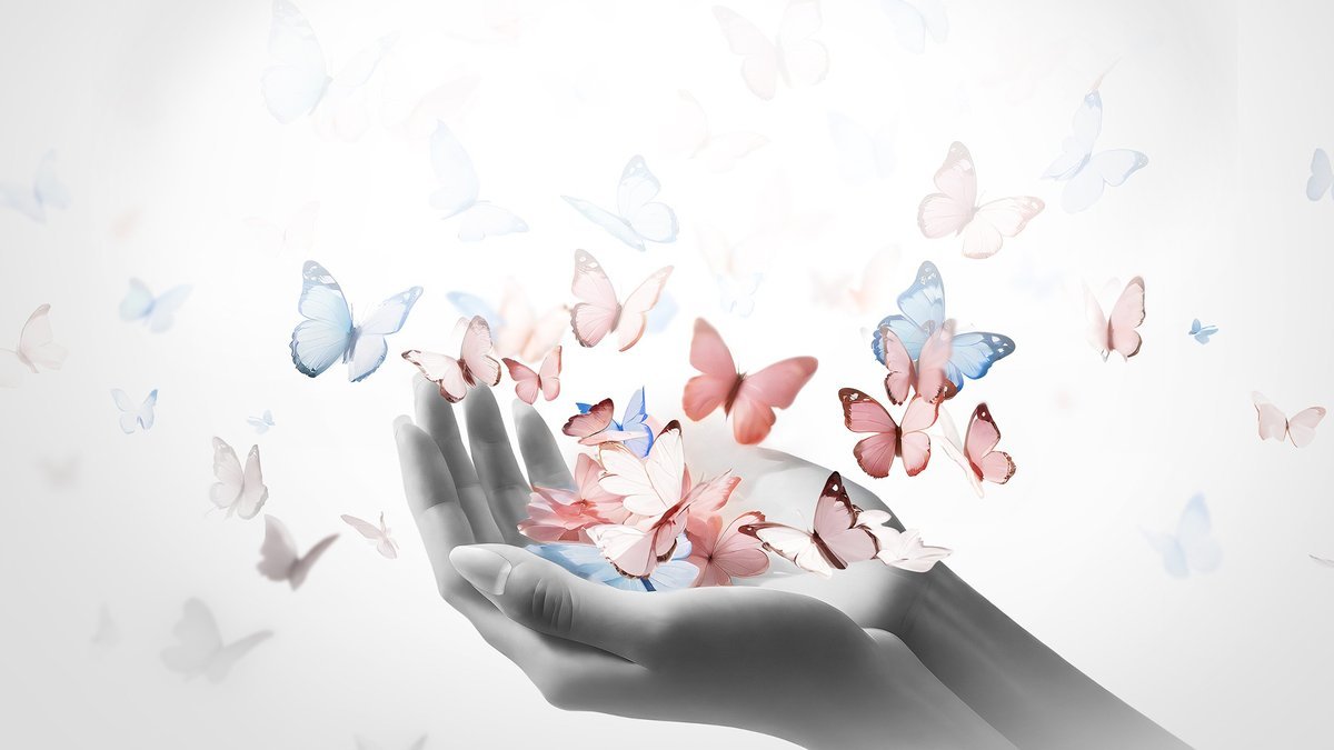 Gruziya videoda jinsiy aloqa