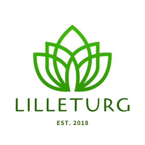 Lilleturg