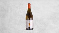 Objednať Bílé víno - Pinot Grigio