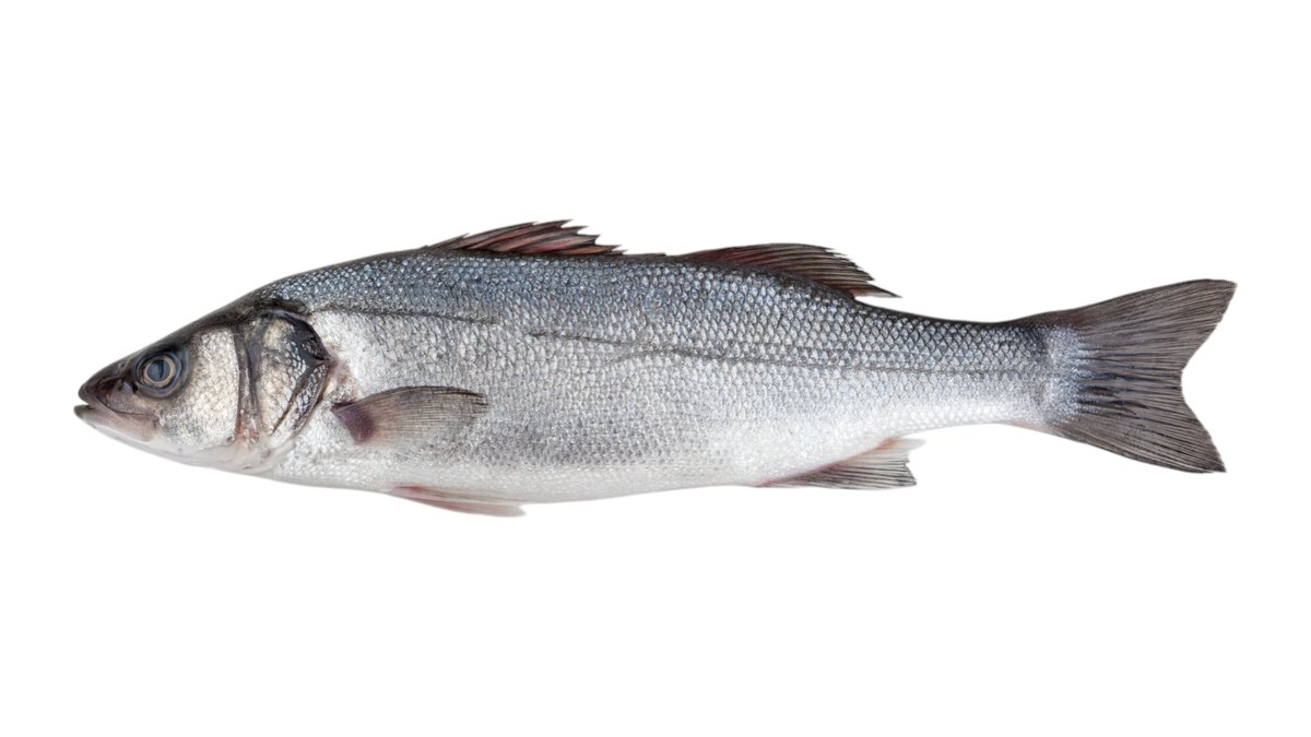 Azzopardi Fisheries Gzira | Wolt | Delivery | Malta