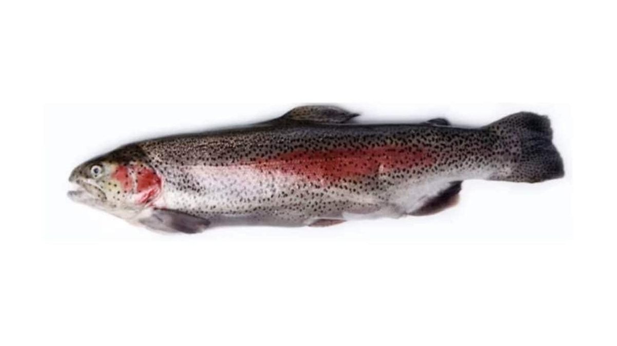 Imaginea produsului 1