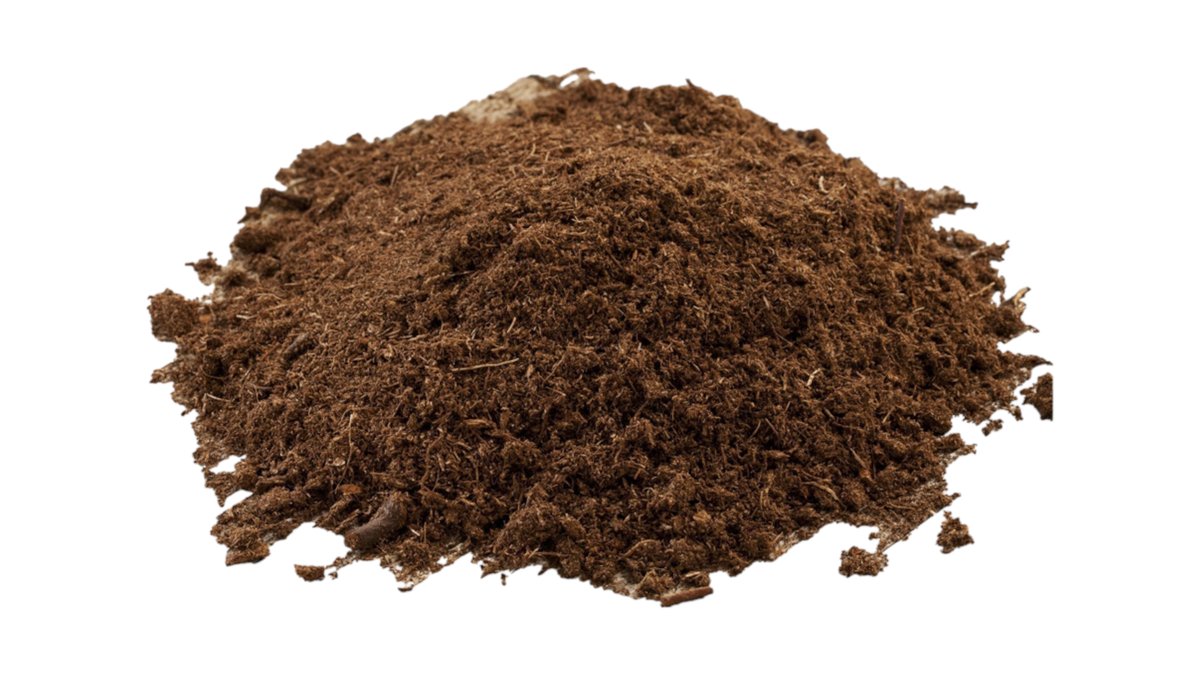 Own Packaging Cactus Compost 1kg | Piscopo Gardens, Pet Shop & Pharmacy ...