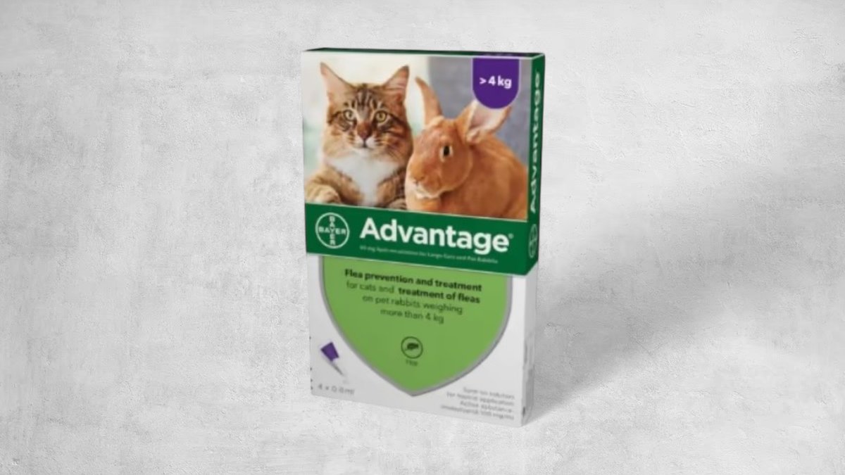 Advantage Flea Tick Drops for Cats over 4Kg Tat-Targa Pet Shop