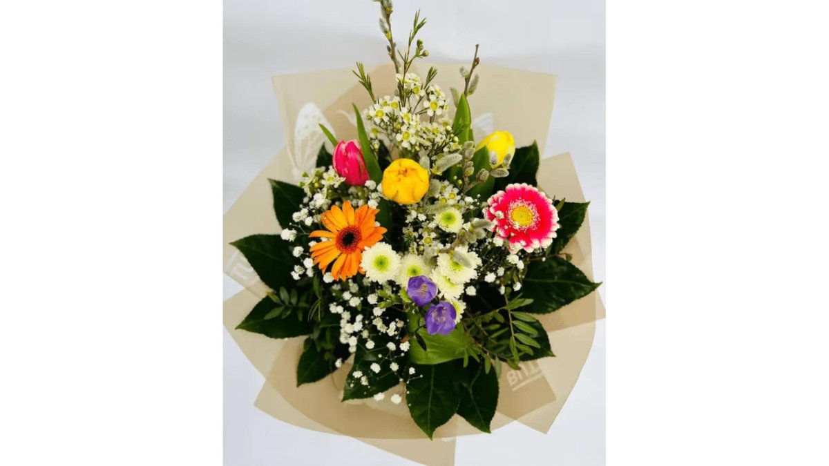 Imaginea produsului 1