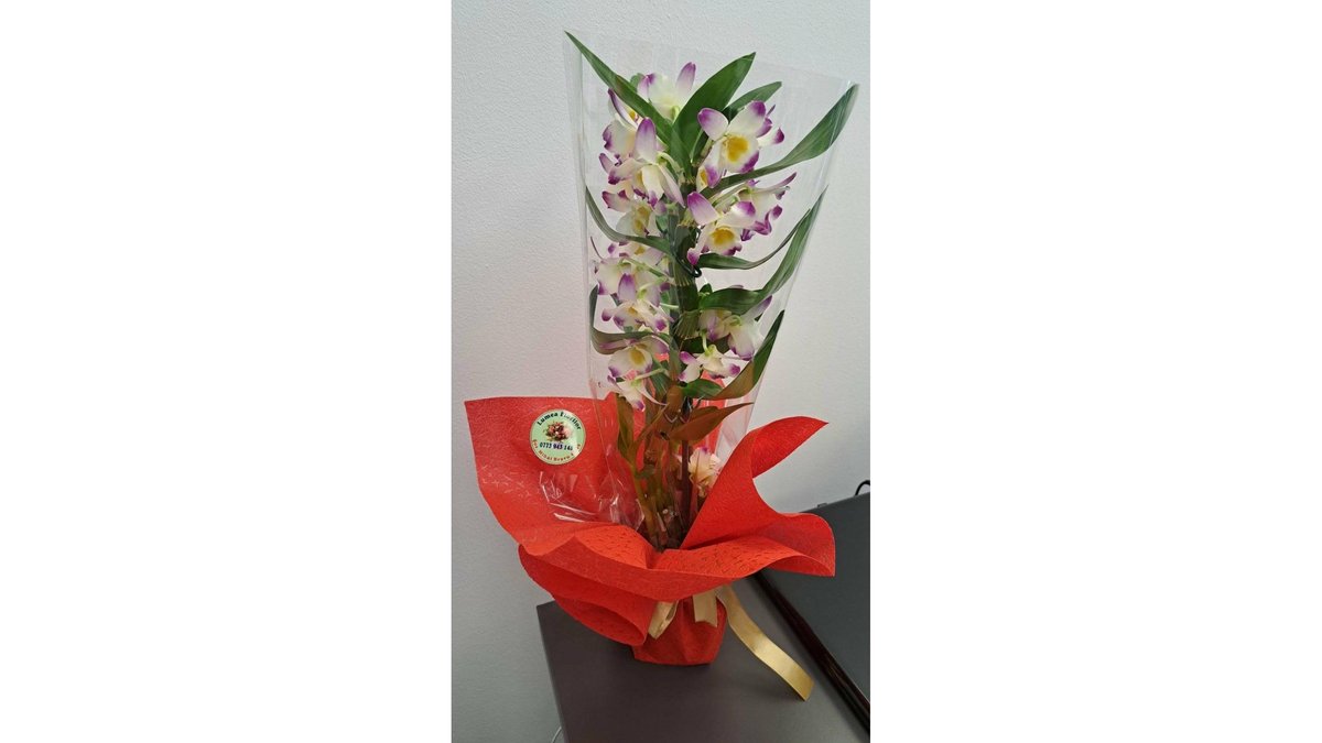 Imaginea produsului 1