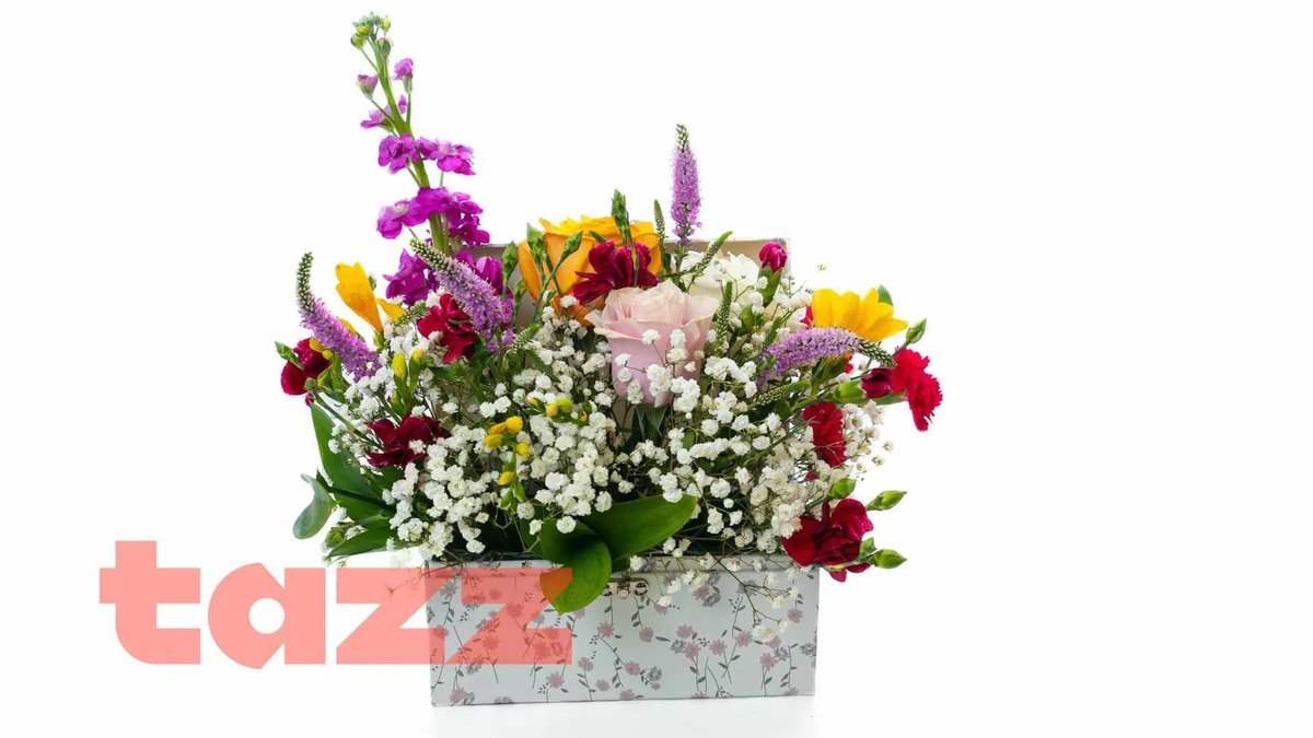 Imaginea produsului 1