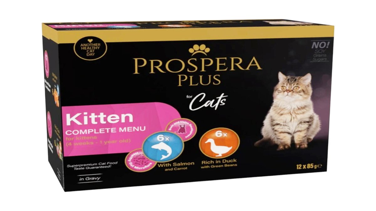 Prospera Plus Cat Kitten Multipack Pouches 12x85g