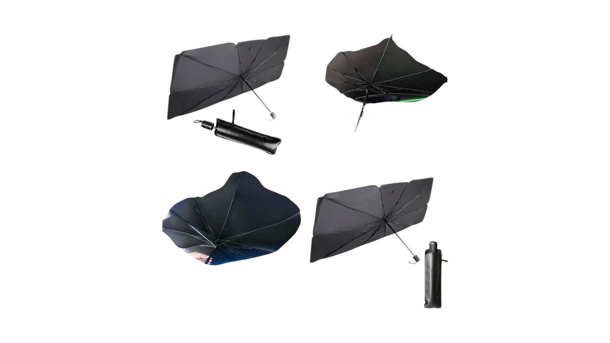 Umbrella for car