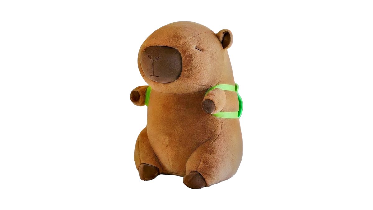 Capybara wear turtle bag