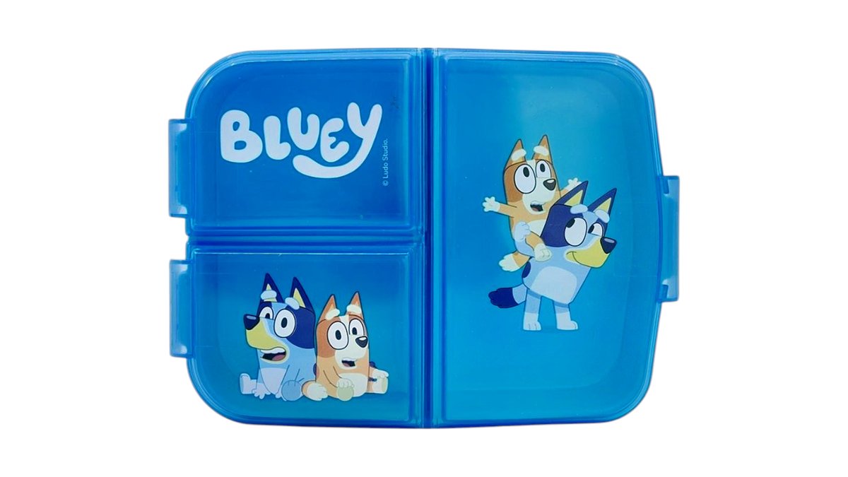 Bluey sandwich box