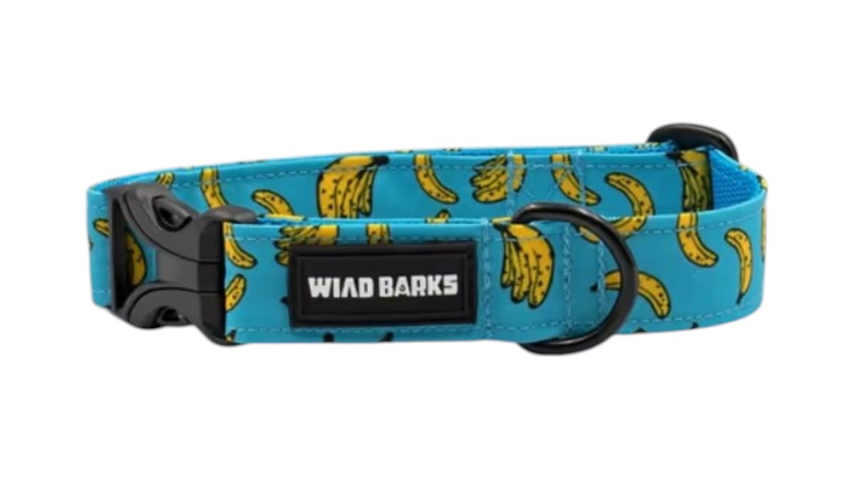 "Bananas" small collar