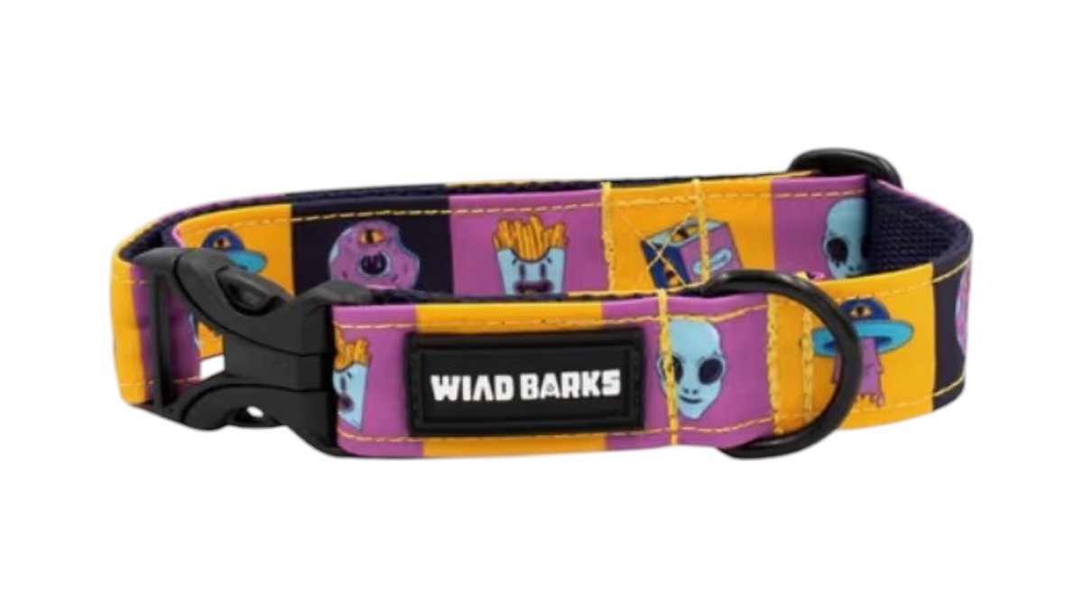 "Weirdo" small collar