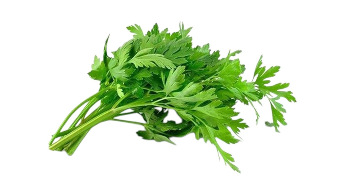 Petržlenová vňať balená, 50 g
