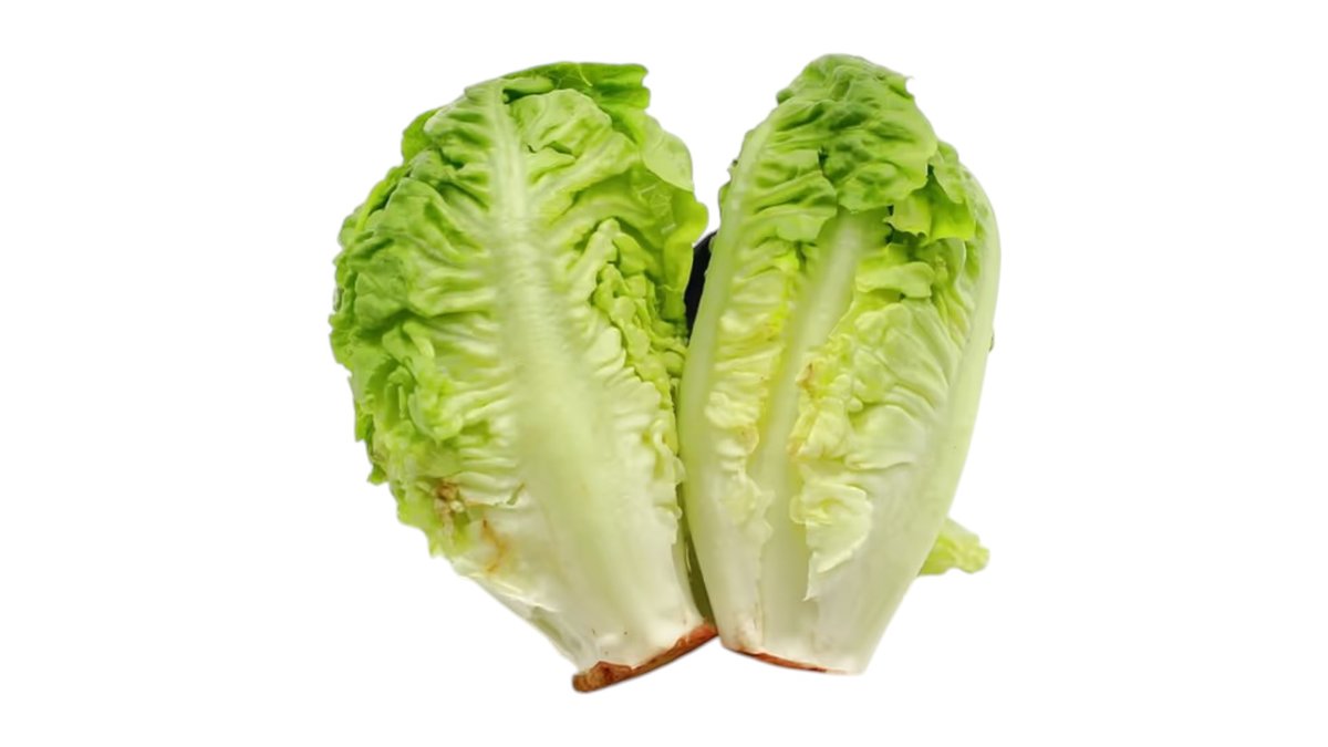 Šalát Rímsky baby 2 ks, 250 g