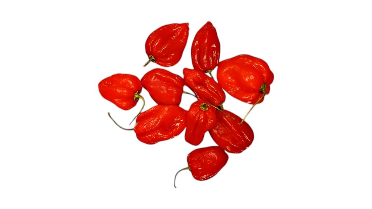 Habanero Chilli Fresh
