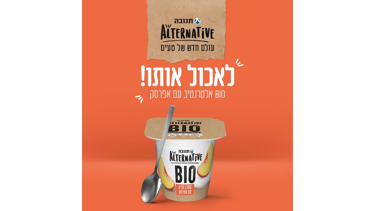 תמונת המוצר 5