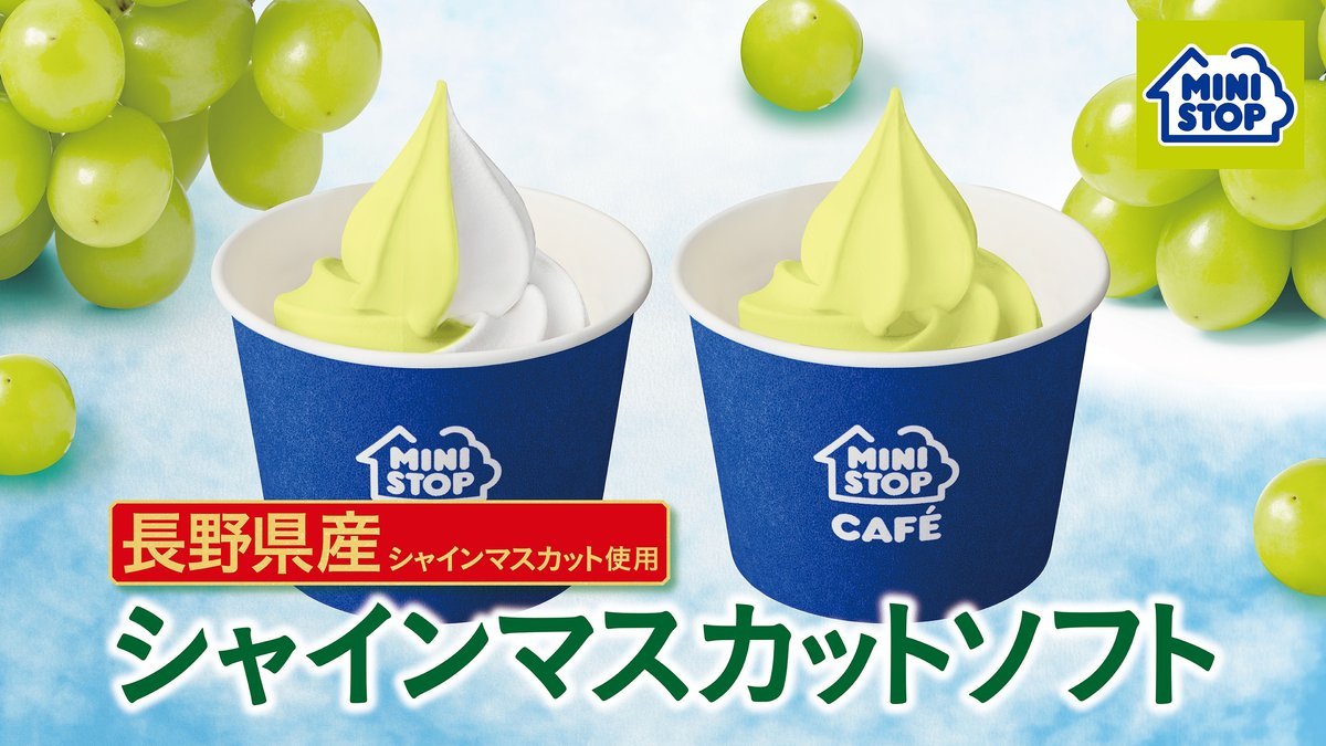 非売品 超レア物 ペヤングソースやきそば販売店用下敷き 裏面