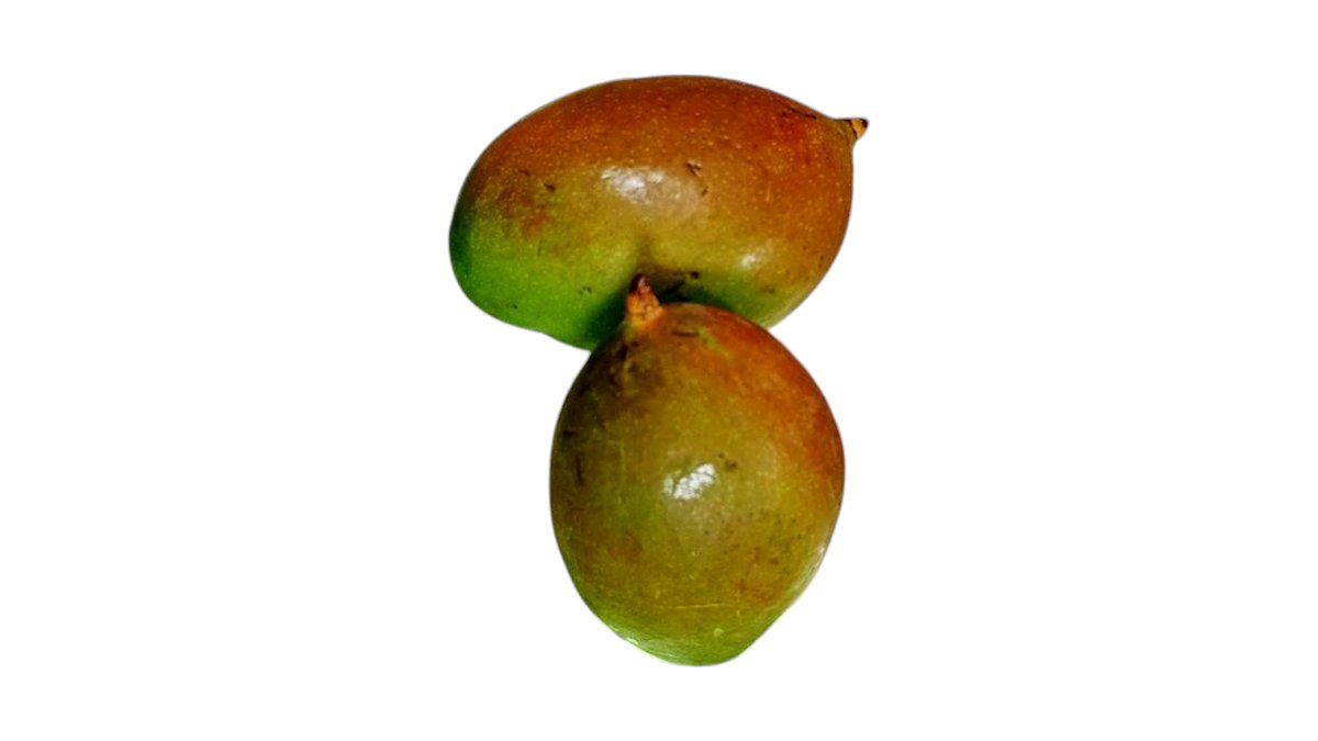 Raw Mango Green 1piece