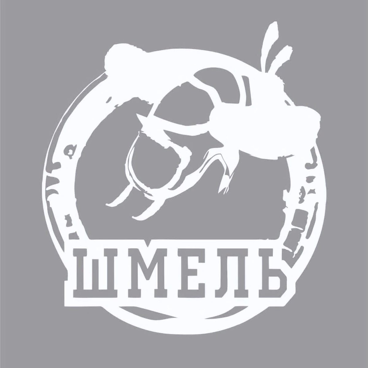Шмель