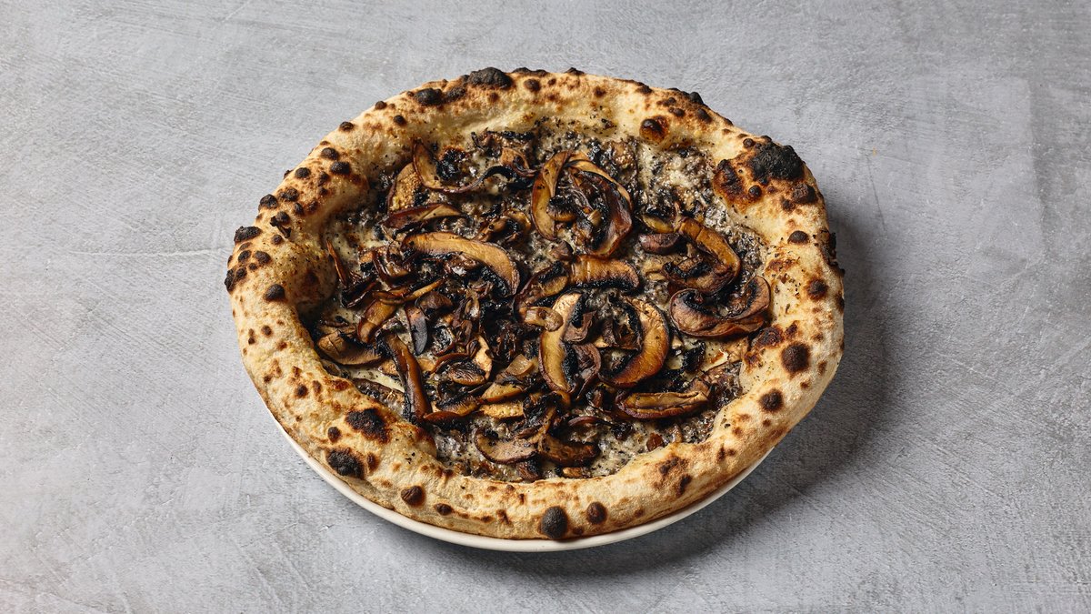 תמונת המוצר 1