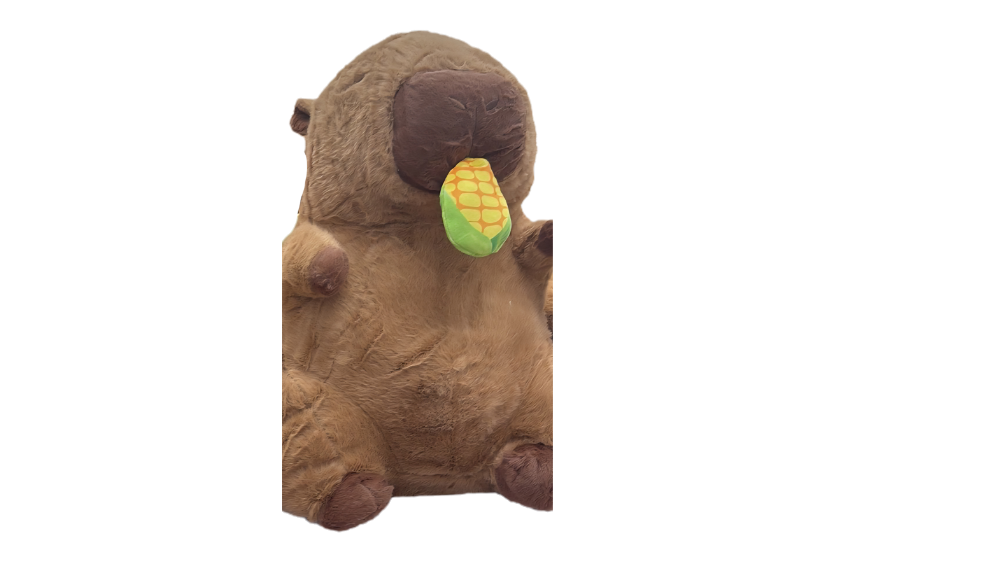 Capybara plush funny