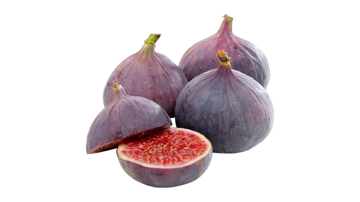 Figner