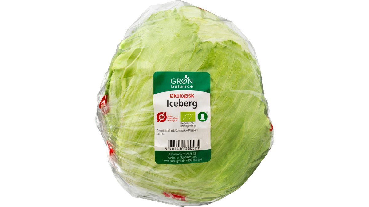 Icebergsalat Økologisk