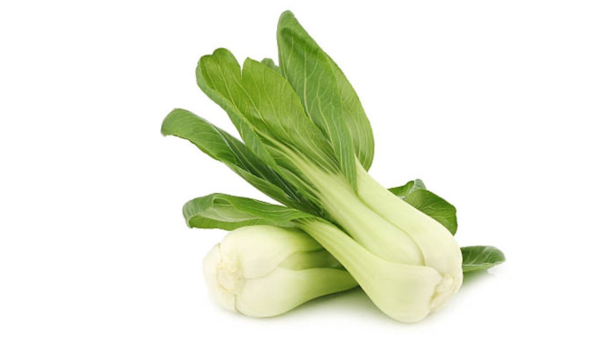 Økologisk Pak Choi