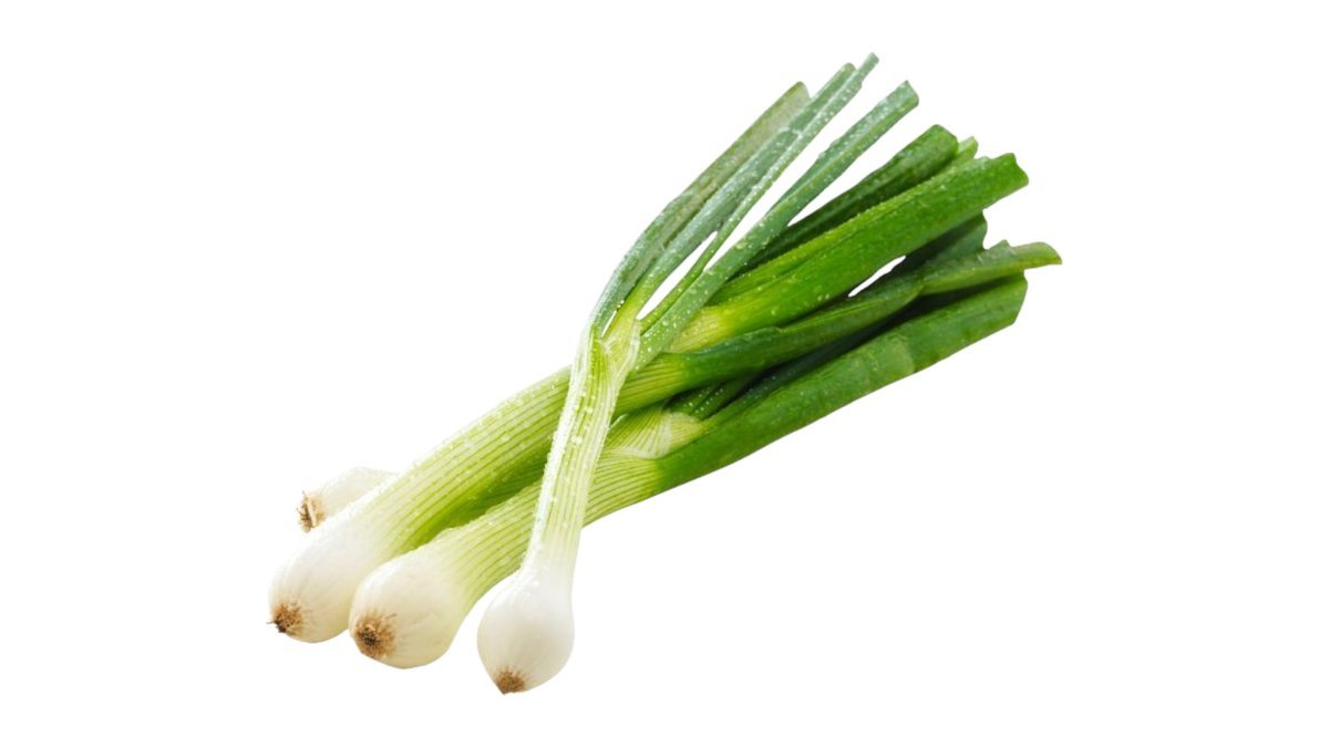 Forårsløg