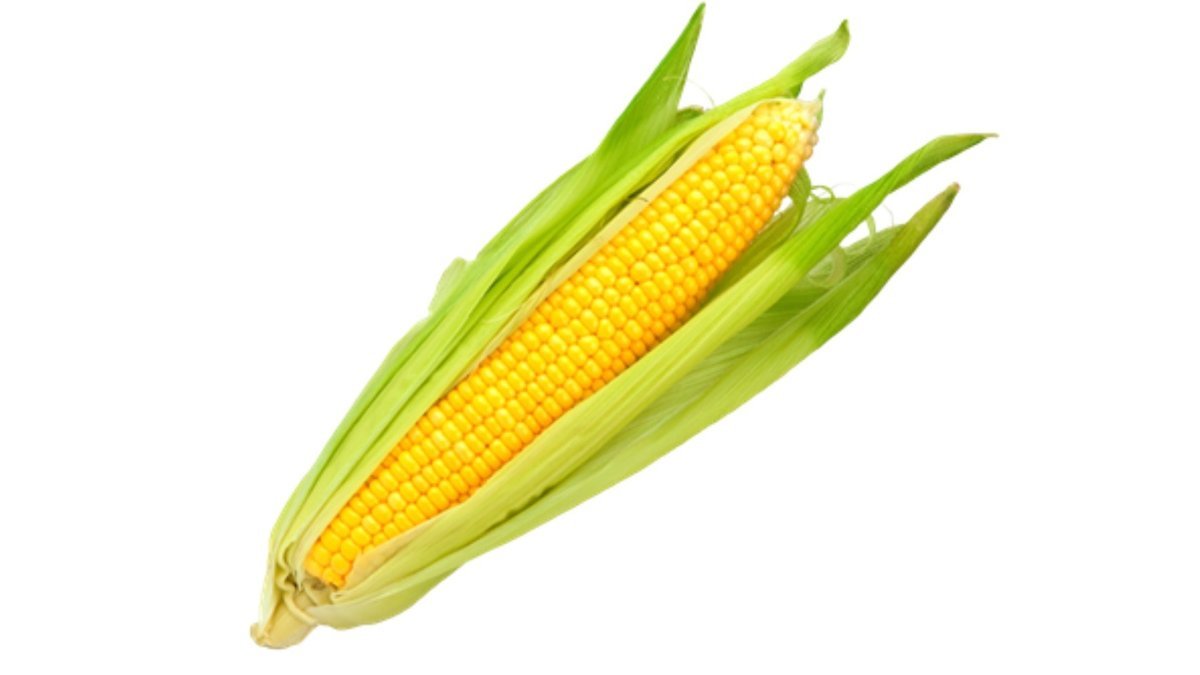 Majskolbe