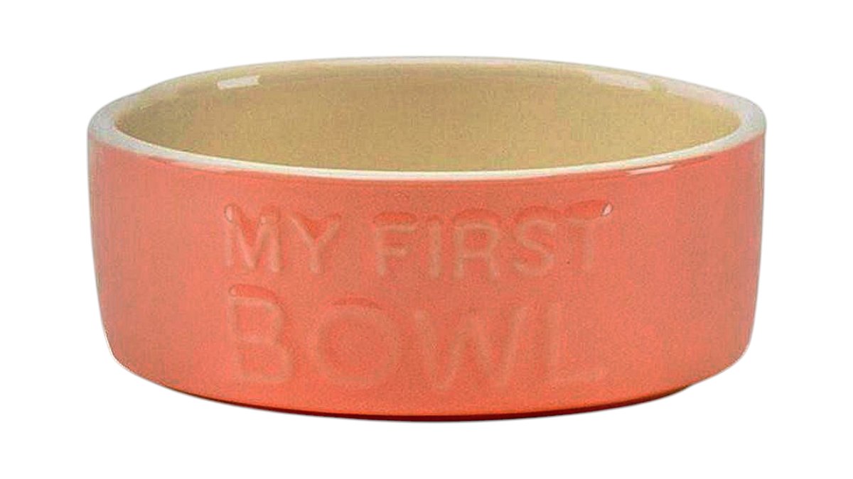 Scruffs Pet My First Bowl Pink -13cm
