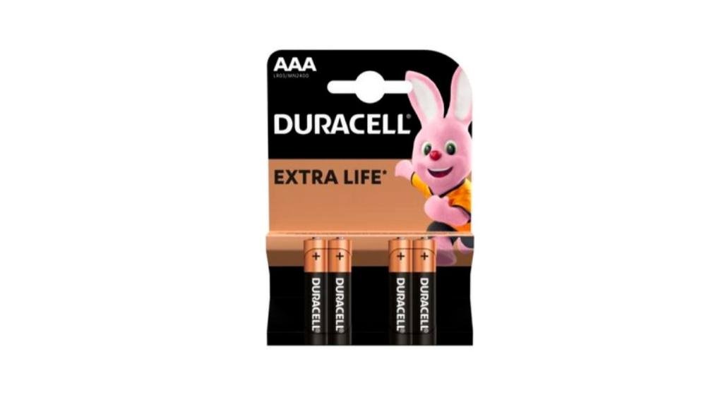 Duracell Basic MN2400 4 əd.