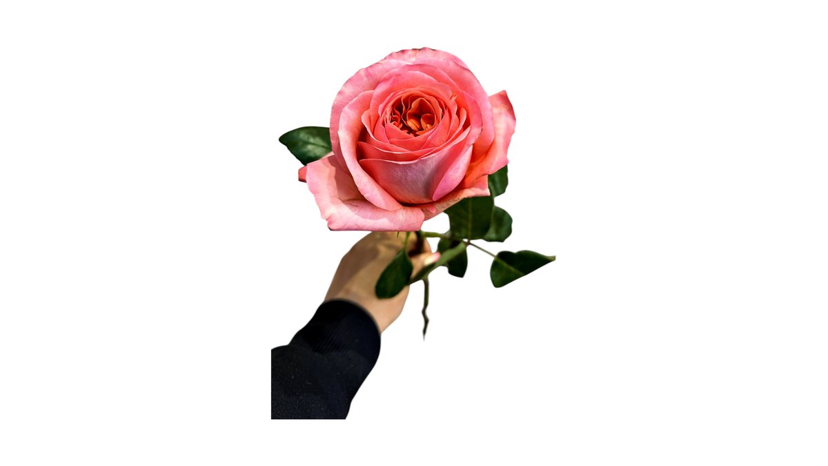 Imaginea produsului 1