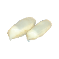 Objednať S5.sepie nigiri 2ks