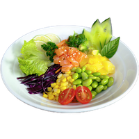 Objednať 9.salmon poke bowl