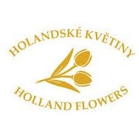 HOLANDSKÉ KVĚTINY