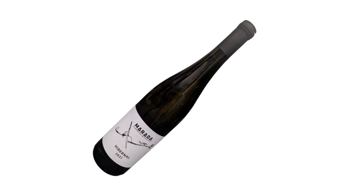 Hibernal, 2021 / Česko